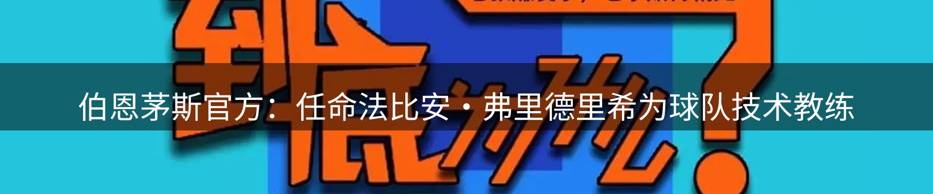 新闻资讯