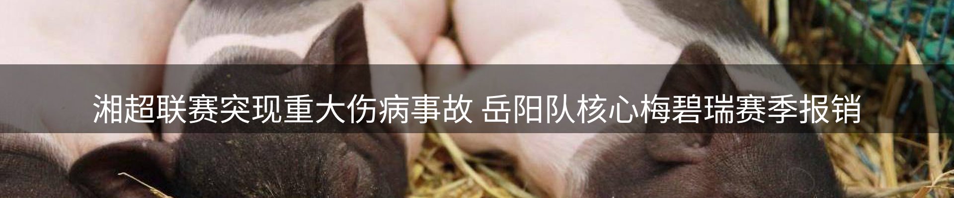 新闻资讯