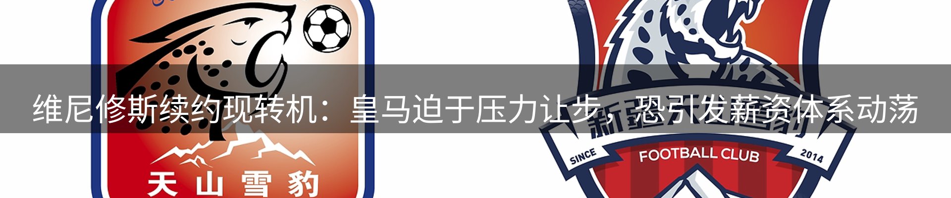 新闻资讯