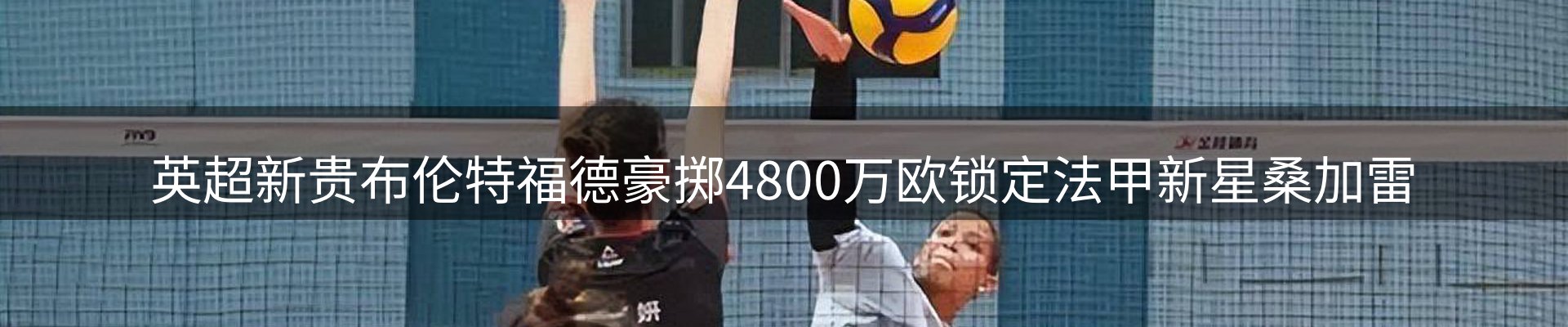 新闻资讯