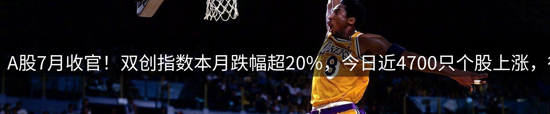 新闻资讯