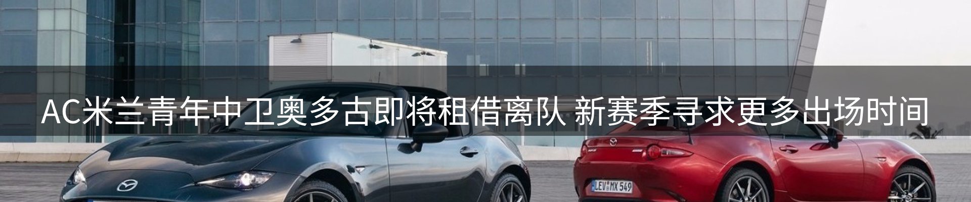 新闻资讯